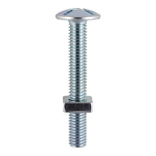 Roofing Bolts 30 100